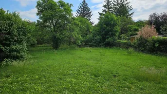 Expose GRUNDSTÜCK FÜR VILLA ODER HAUS BIS ZU 3 WOHNEINHEITEN