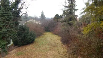 Großer Gartenbereich mit Rasenfläche und altem Baumbestand, umgeben von Büschen und Bäumen.