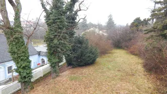 Gartenbereich mit Rasen und Bäumen, bietet einen Blick auf das benachbarte Gebäude.