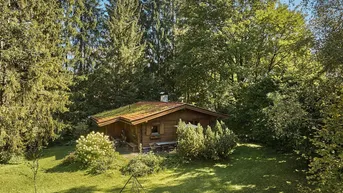 Rustikales Holzhaus inmitten grüner Natur mit hohen Bäumen und weitläufigem Rasen.