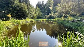 Expose Verstecktes Naturparadies mit Pool und Schwimmteich
