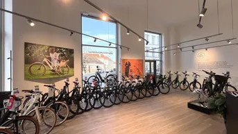 Expose Modernes Loft-Geschäftslokal vis-a-vis Unteres Belvedere
