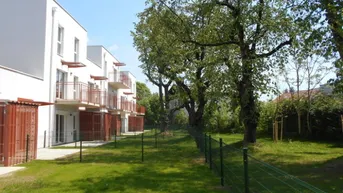 Expose Grottenhofstraße 2ZI sonnig,ruhig,hochwertig mit Terrasse/GARTEN