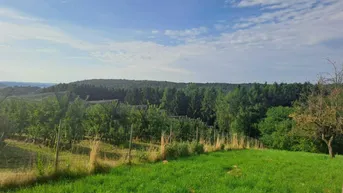 Expose Naturnah Wohnen mit Weitblick in der Thermenregion Bad Waltersdorf 6766m² - Bauland, Wiese &amp; Wald