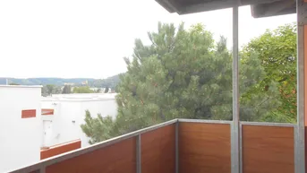 Expose Grottenhofstraße sonnige, großzügige 3ZI mit Süd/Balkon im 3./letzten OG