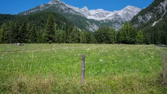 Expose Grundstück in Sonniger und Ruhiger Lage