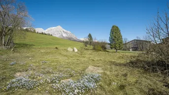Expose Sonnenverwöhntes Grundstück am Fuße des Wilden Kaisers