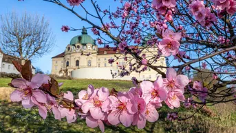 Expose Traumhaftes Baugrundstück in Klosterneuburg - Ihr zukünftiges Eigenheim wartet auf Sie!