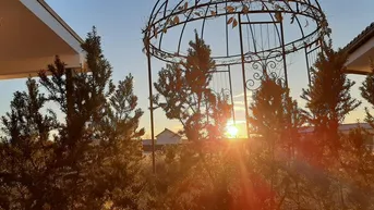 Romantischer Gartenbereich mit dekorativem Pavillon und Pflanzen im warmen Licht des Sonnenuntergangs.