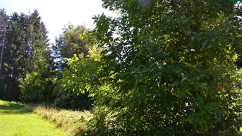 Expose Sonniger Aussichts-Baugrund in Wernberg / Neudorf Nähe Villach