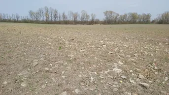 Expose Parkfläche zur Anmietung mit Anbindung an das Straßennetz