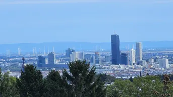 Expose Doppelhaus oder Einfamilienhaus - DER BLICK!