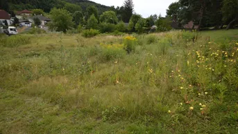 Expose Baugrundstück in Oberdorf - Ihr eigenes Zuhause im idyllischen Burgenland!