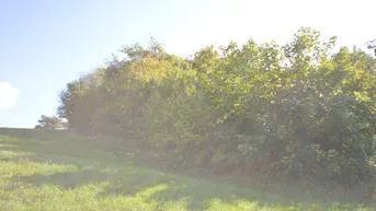 Expose Bauland-Dorfgebiet und landwirtschaftliche Fläche in Bergwerk zu verkaufen