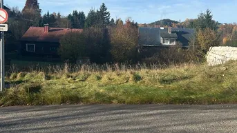 Unbebautes Grundstück mit Blick auf umliegende Häuser und Bäume unter blauem Himmel.