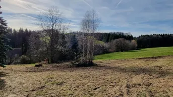 Expose SONNIG UND RUHIG GELEGENER BAUGRUND