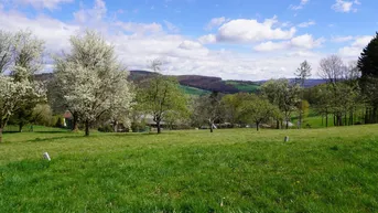 Expose HAUS IN HERRLICHER RANDLAGE AN GRÜNLANDGRENZE MIT AUSSICHT