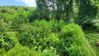 Expose GRUNDSTÜCK IN HANG-RANDLAGE MIT BLICK IN DEN WIENERWALD