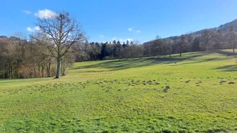 Expose 10 ha Wald- und Wiesenflächen in Feichsen