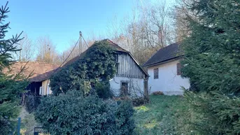 Expose Wer küsst Dornröschen wach?