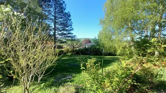 Expose GROSSER SONNIGER GRUND MIT SOMMERHAUS