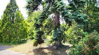 Expose ALTES HAUS AUF SCHÖNEN BAUGRUND IN WIEN INZERSDORF