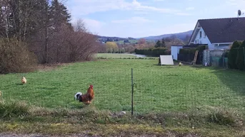 Expose NEUER PREIS! SCHÖNES BAUGRUNDSTÜCK IM WIENERWALD