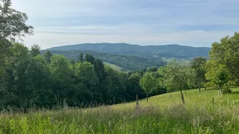 Expose RUHIGE AUSSICHTSLAGE AN DER GRÜNLANDGRENZE