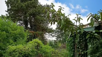 Expose Tolles Baugrundstück mit Gartenhaus