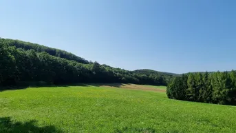 Expose LANDWIRTSCHAFT VOR DEN TOREN WIENS