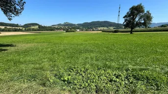 Expose Landwirtschaftliche Fläche