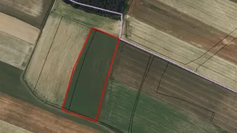 Expose *In Kaufabwicklung* Acker/Wiese