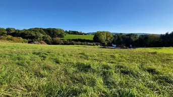 Expose EXKLUSIVE BAUGRUNDSTÜCKE IN NEULENGBACH