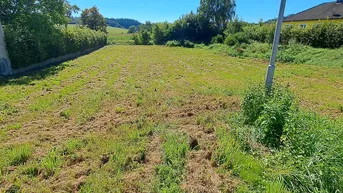 Expose Ein guter Grund weiterzulesen.....