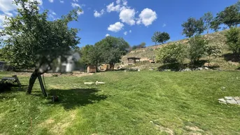 Großer Gartenbereich mit Rasenfläche, Bäumen und kleinen Holzschuppen an einem sonnigen Hang.