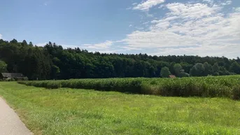 Expose Natur, Ruhe &amp; Lebensqualität – Das Baugrundstück in Bad Blumau wartet auf Sie!