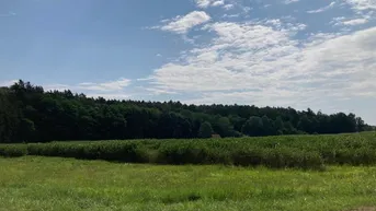 Expose Bauen mit Aussicht – Grundstück in Bad Blumau in traumhafter Lage