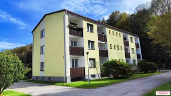 Expose Wohnen in Payerbach - Gemütliche EG-Wohnung mit Loggia für nur 90.000,00 €!