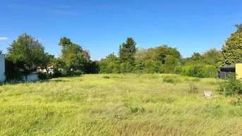 Weitläufiges grünes Grundstück mit hohem Gras und Bäumen im Hintergrund unter blauem Himmel.