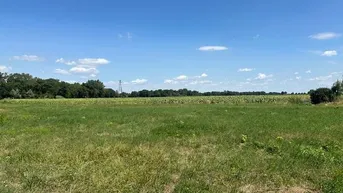 Expose Gemeinde Ebreichsdorf - wunderschöne Ortsrandlage !