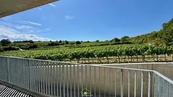 Expose Aussichtslage Top 8: Weingartenblick - 3 Zimmer Eigentumswohnung mit Terrasse