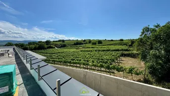 Expose Aussichtslage Top 11: Weingartenblick - Luxuriöse 4 Zimmer Dachgeschosswohnung mit herrlicher Terrasse