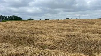 Expose Landwirtschaftlicher Nutzgrund in Altheim