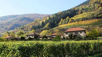 Expose Attraktive Ferienwohnung als Zweit- oder Hauptwohnsitz mit Blick auf die Donau in der wunderschönen Weinbauregion Wachau
