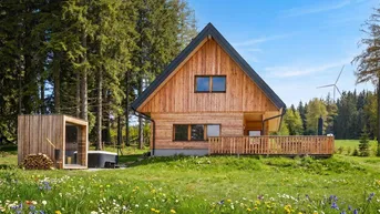 Charmantes Holzhaus mit grüner Wiese, Hot Tub und Sauna vor einem Waldhintergrund.