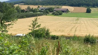 Expose Traumhaftes Grundstück mit Aussicht in Siegenfeld bei Baden