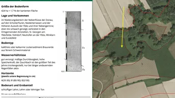 Expose Grünland Wald Neuhofen