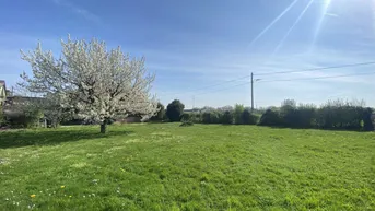 Expose SONNIG + RUHELAGE + PERFEKTER BAUGRUND + OPTIMAL auch für DOPPELHÄUSER + GUTE Grundstückskonfiguration!