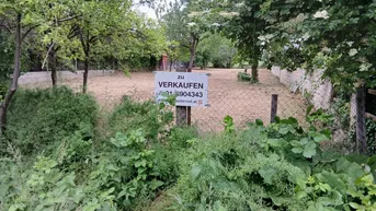 Expose Herrliches ebenes Baugrundstück in ruhiger Siedlungslage, Nähe Neusiedler See