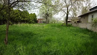 Expose Herrliches ebenes Baugrundstück in ruhiger Siedlungslage, Nähe Neusiedler See